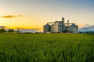 agriculture, satellite broadband